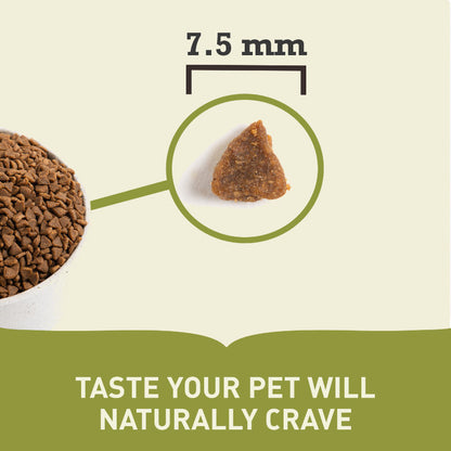 Acana First Feast Kitten Dry Cat Food