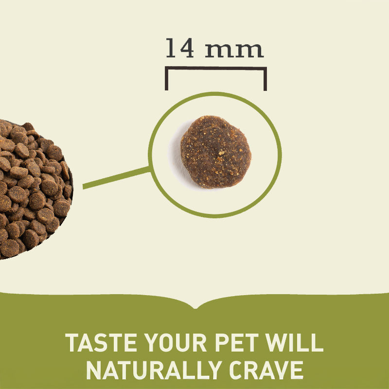 Acana Singles Yorkshire Pork Adult Grain Free Dry Dog Food