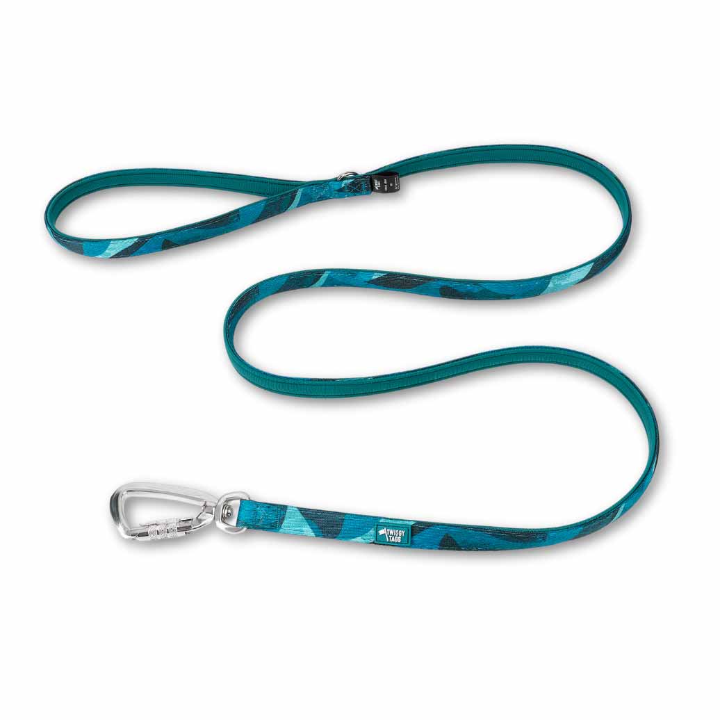 Twiggy Tags Lagoon Adventure 2.0 Small Dog Lead