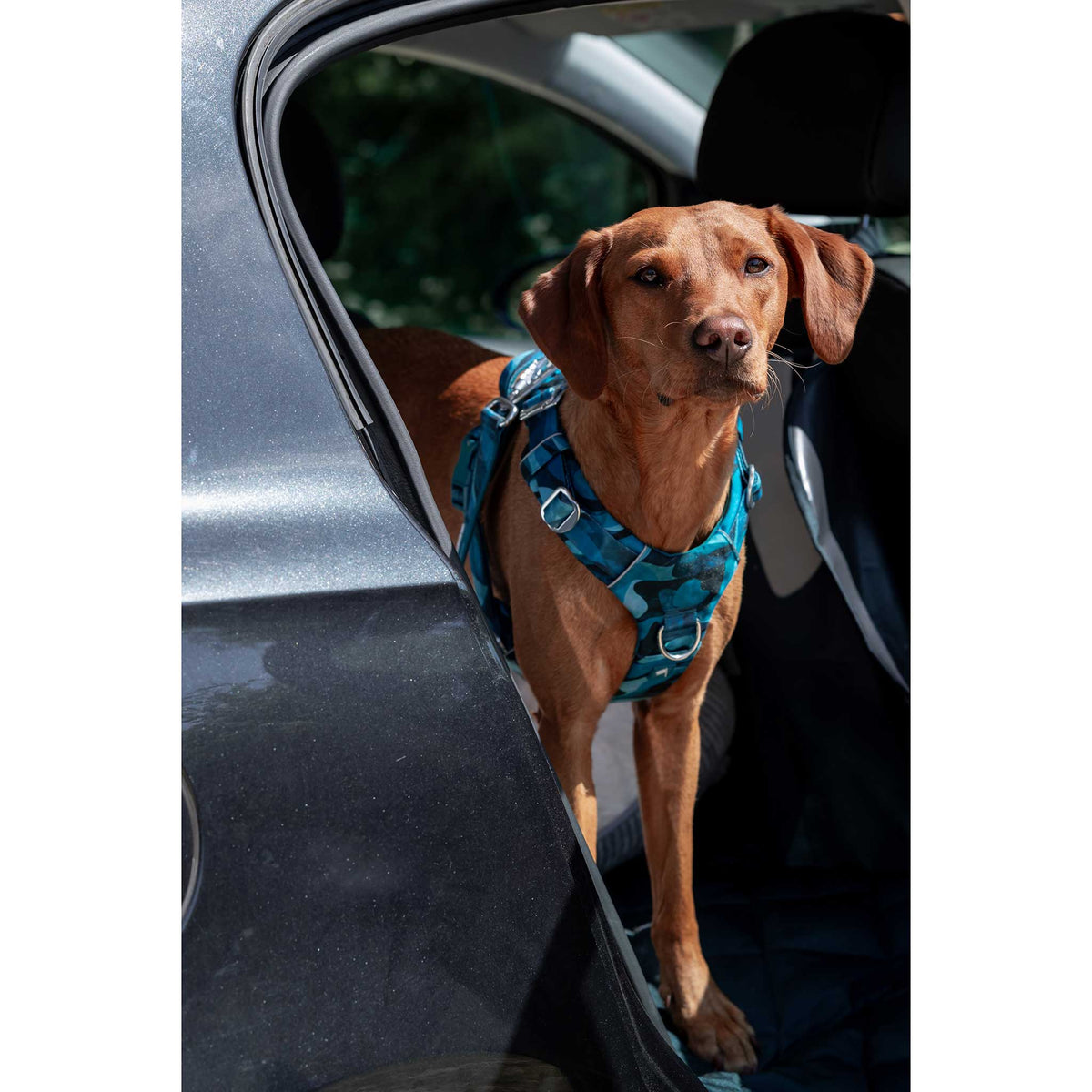 Twiggy Tags Lagoon Adventure 2.0 Dog Harness