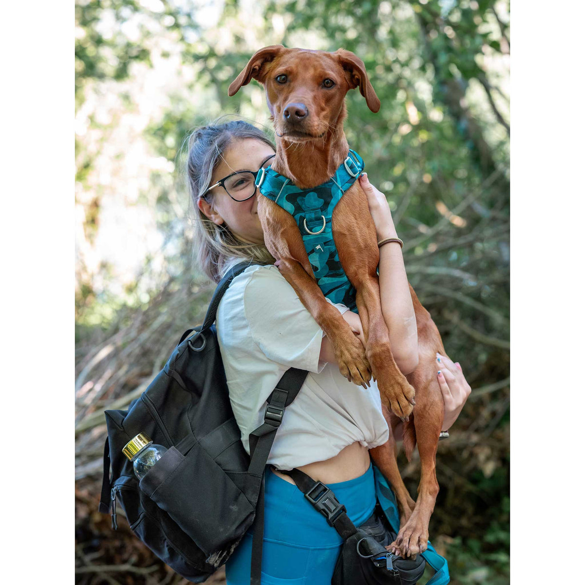 Twiggy Tags Lagoon Adventure 2.0 Dog Harness