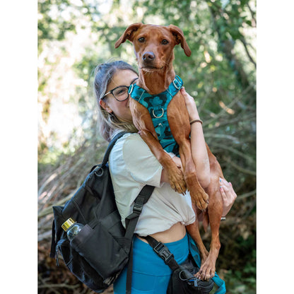 Twiggy Tags Lagoon Adventure 2.0 Dog Harness