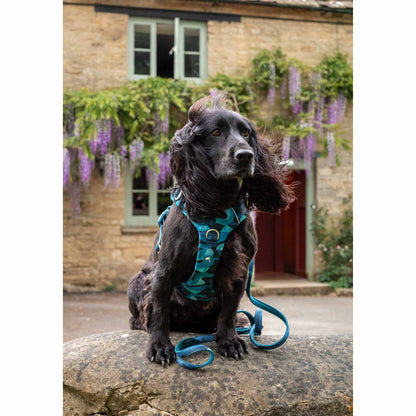 Twiggy Tags Lagoon Adventure 2.0 Small Dog Lead