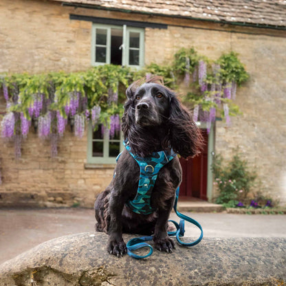Twiggy Tags Lagoon Adventure 2.0 Dog Harness
