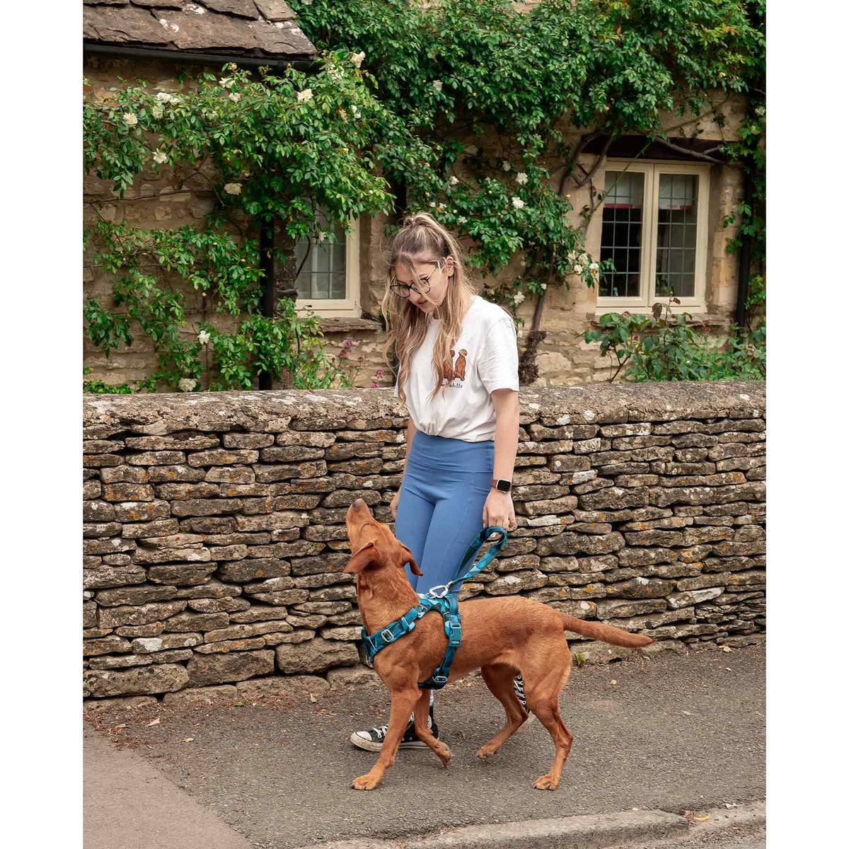 Twiggy Tags Lagoon Adventure 2.0 Dog Lead Close Control