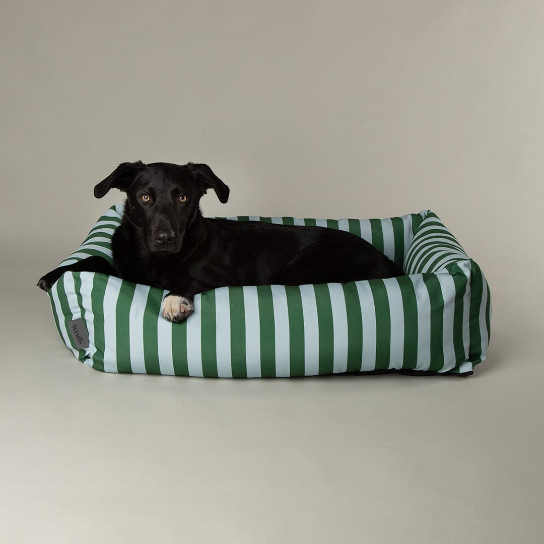 Scruffs Amalfi Striped Box Bed - Green