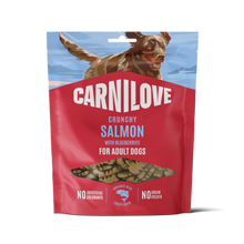 Carnilove Grain Free Crunchy Dog Treats - Salmon with Blueberries - 200g