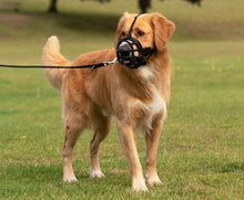 Baskerville ULTRA Dog Muzzle