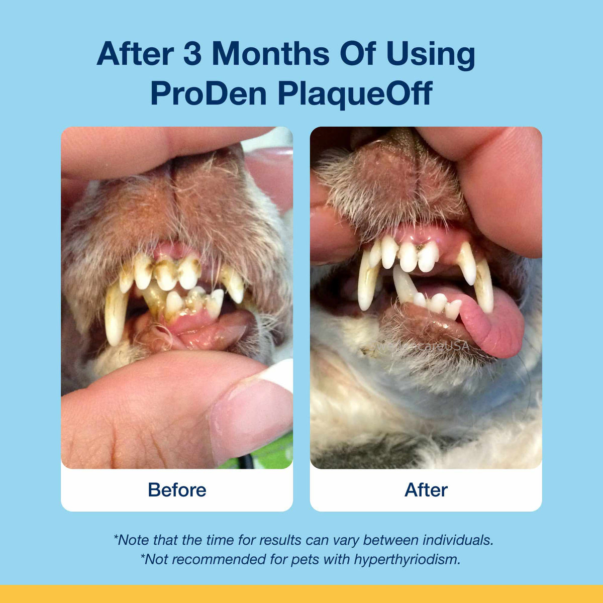 Plaque Off Dental Care Cat Treats - Salmon Bites