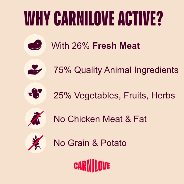 Carnilove Active Large Breed Adult Dry Cat Food - Salmon & Turkey