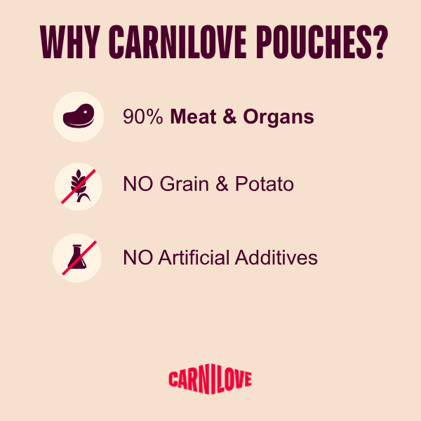 Carnilove Adult Wet Cat Food Pouches - Quail with Dandelion in Gravy - 24x85g
