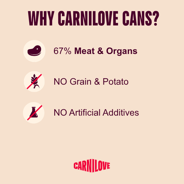 Carnilove Adult Wet Dog Food Tins - Lamb & Wild Boar - 6x400g Cans