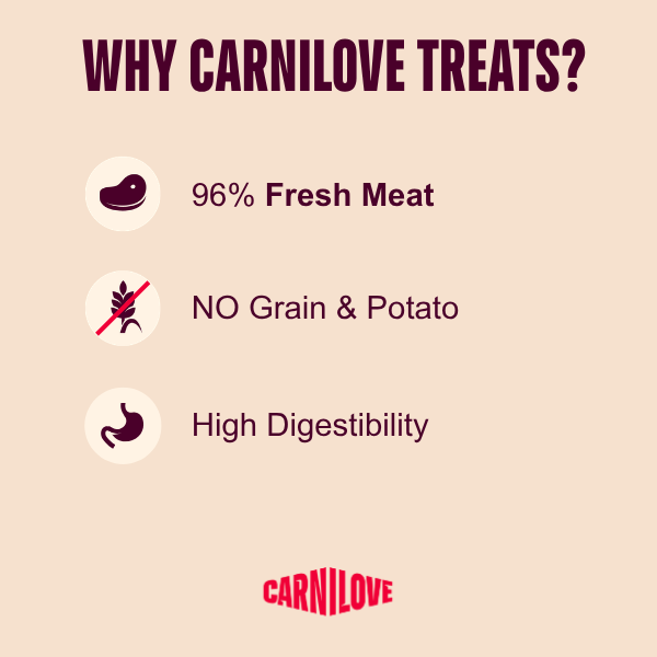 Carnilove Adult Freeze Dried Dog Treats - Lamb