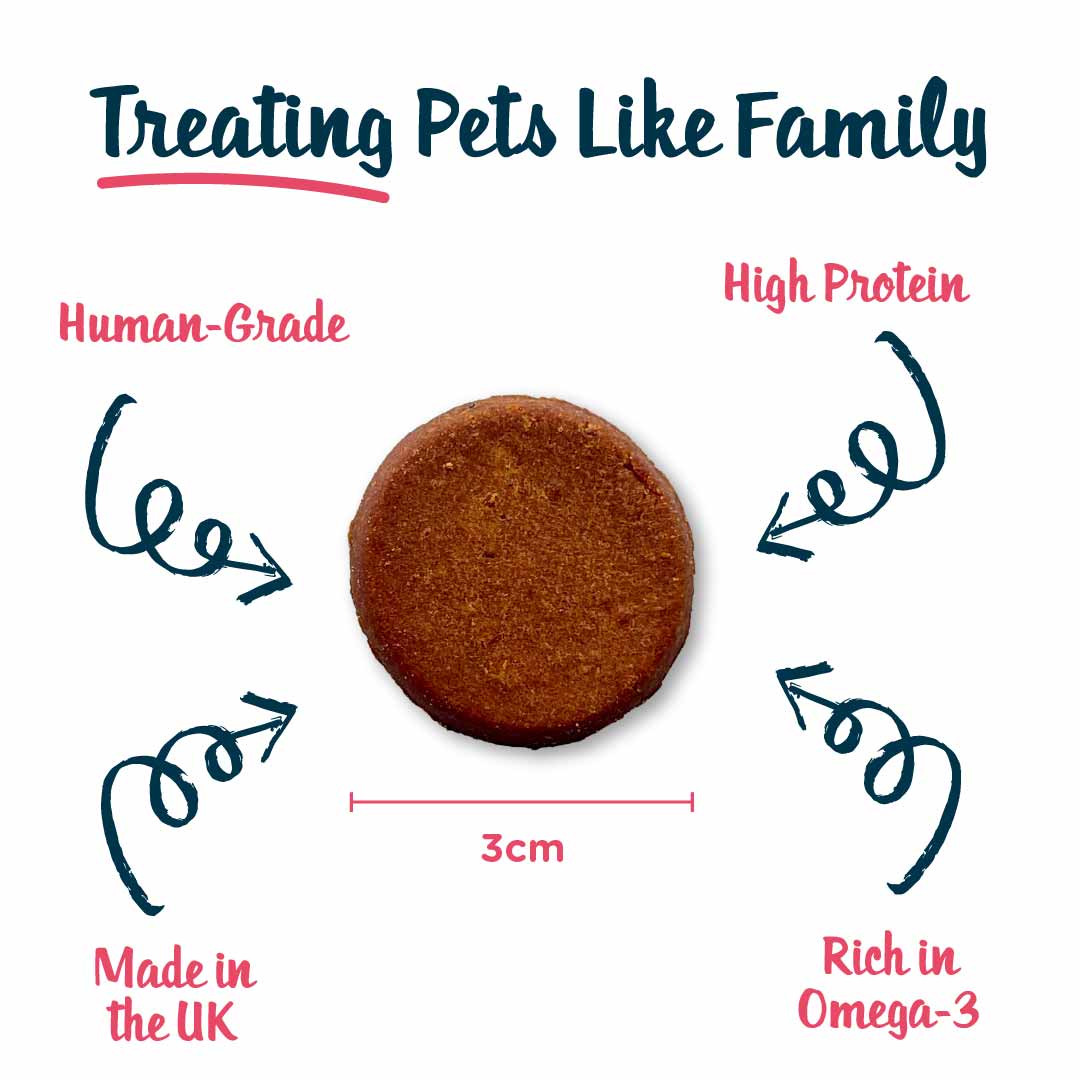 Snif-Snax Salmon Bites Dog Treats - 100g