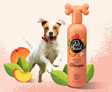 Pet Head Quick Fix 2in1 Dog Shampoo & Conditioner
