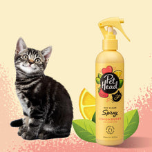 Pet Head Felin' Good Cat Dry Clean Spray
