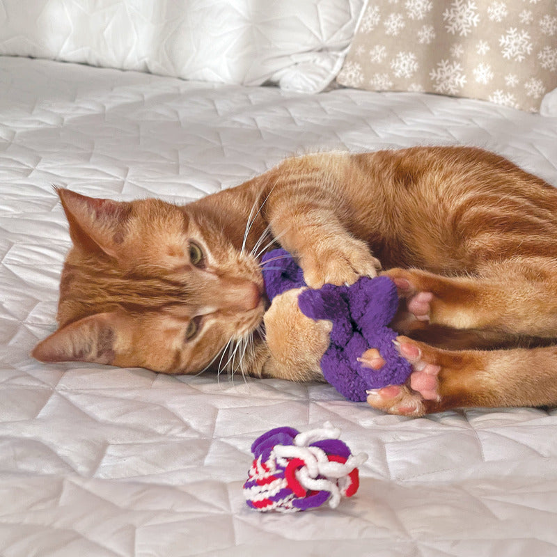 KONG Cat Active Rope Red & Purple Cat Toy