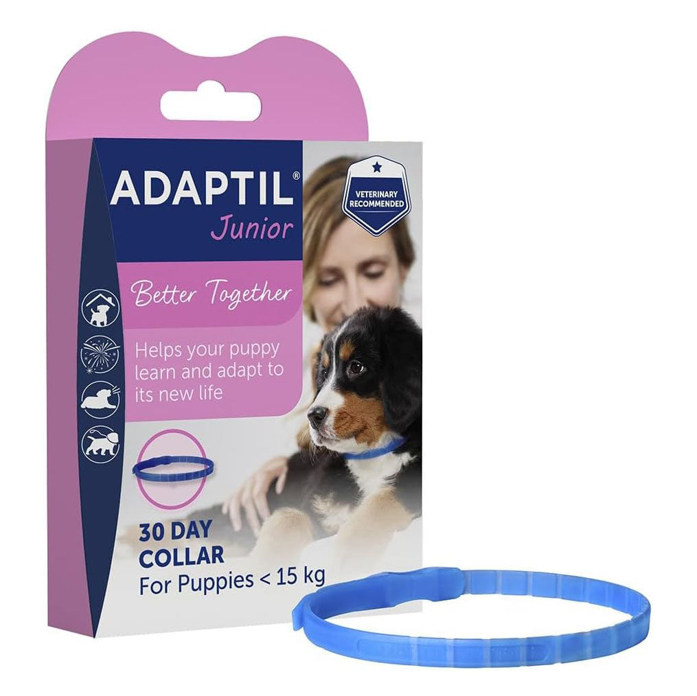 Adaptil Junior Collar
