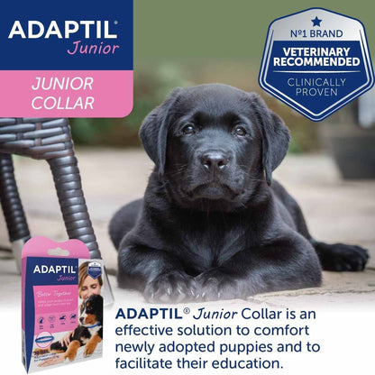 Adaptil Junior Collar