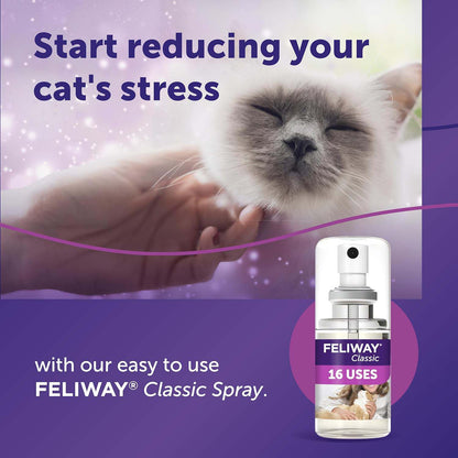 Feliway Classic Spray - 20ml