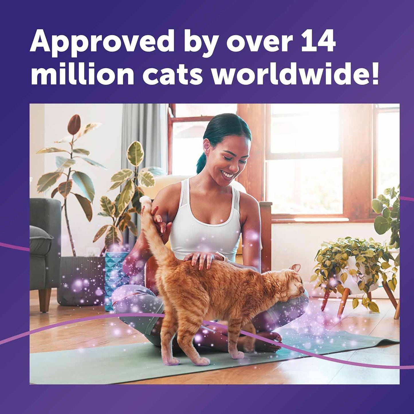 Feliway Classic Spray - 60ml