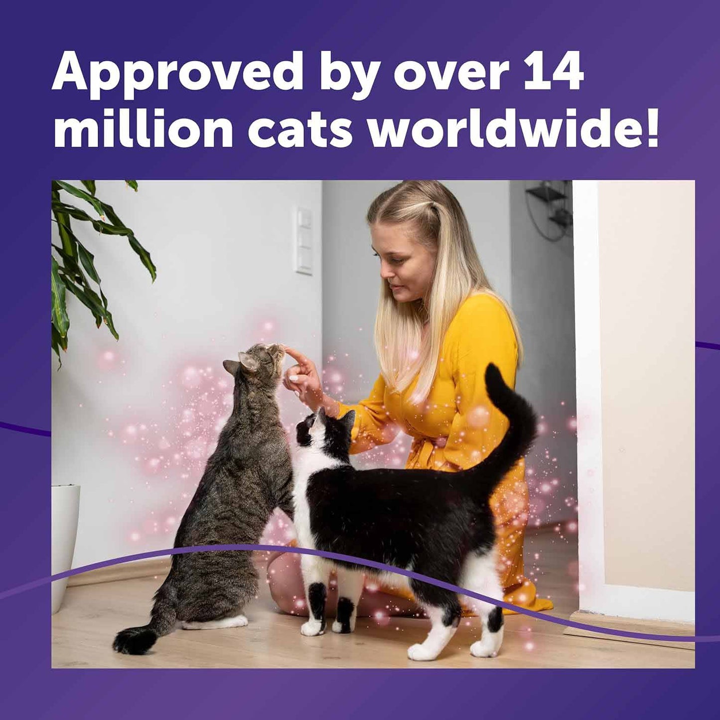 Feliway Friends 30 Day Refill - 48ml