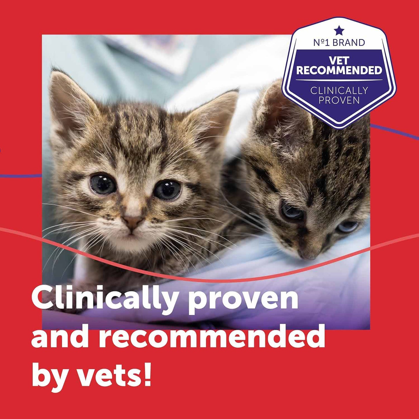 Feliway Friends 30 Day Refill - 48ml