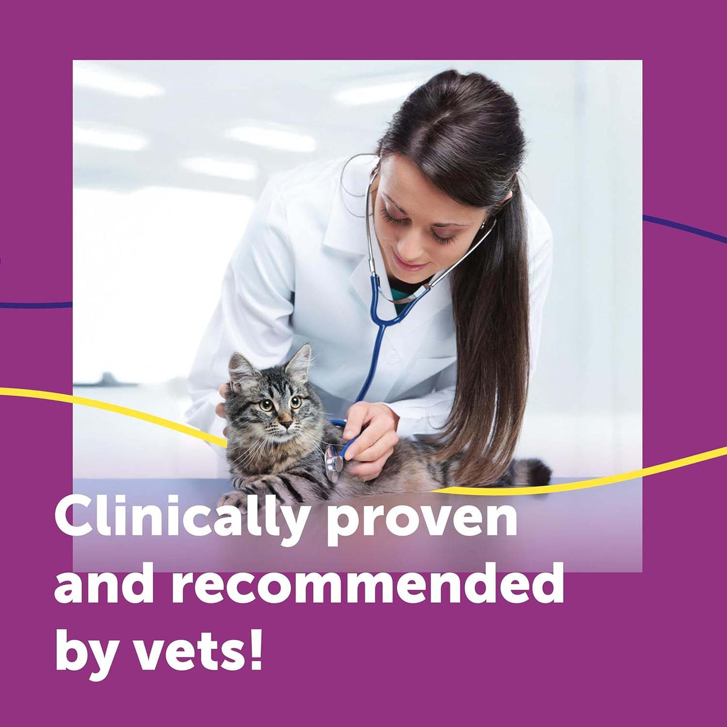 Feliway Help! Starter Pack (Diffuser & Cartridge)