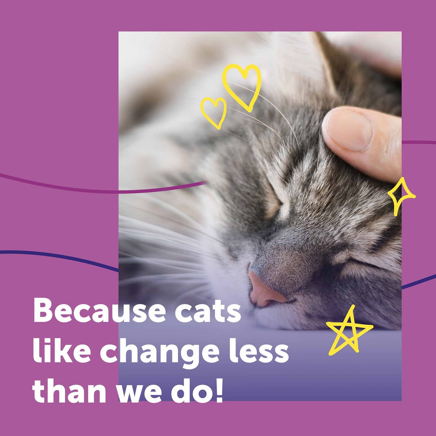 Feliway Help! Refill Cartridges - 3pk