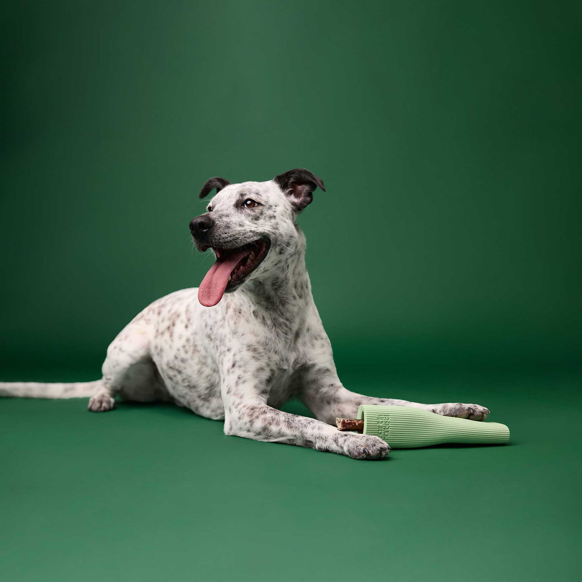 Earth Rated Rubber Chew Dog Toy