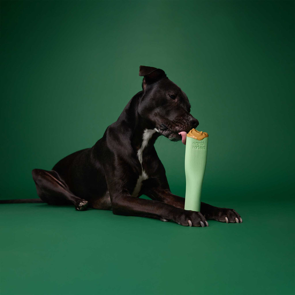 Earth Rated Rubber Chew Dog Toy