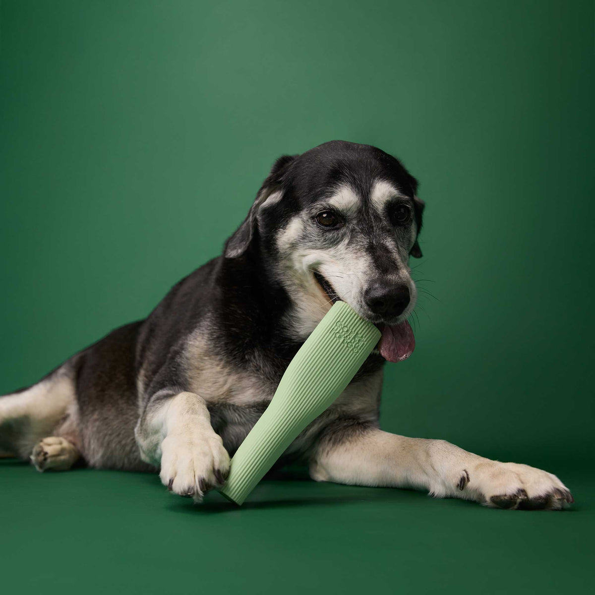 Earth Rated Rubber Chew Dog Toy
