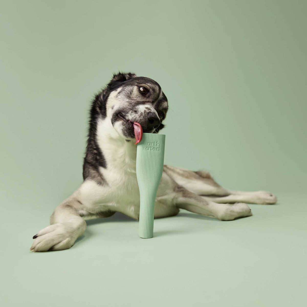 Earth Rated Rubber Chew Dog Toy