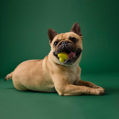 Earth Rated Rubber Fetch Dog Toy