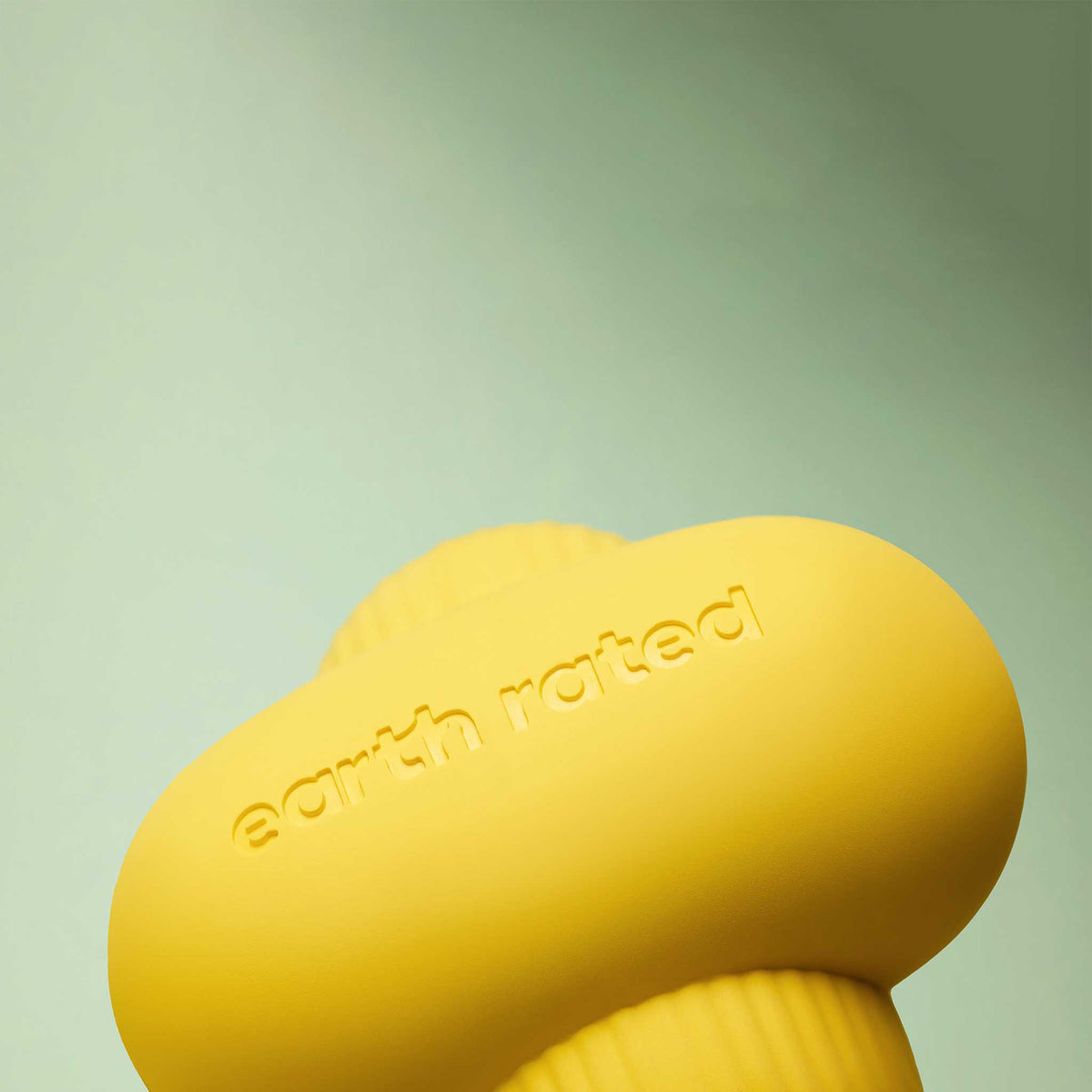 Earth Rated Rubber Fetch Dog Toy