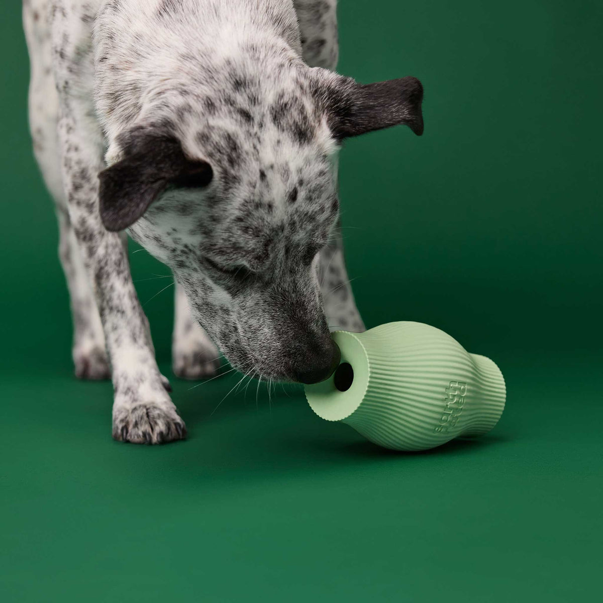 Earth Rated Rubber Treat Dog Toy