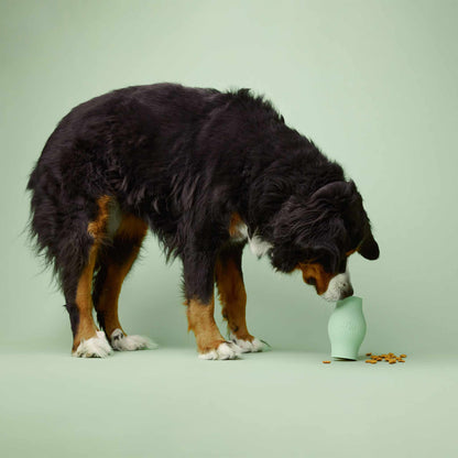Earth Rated Rubber Treat Dog Toy