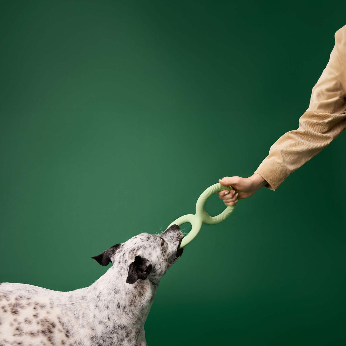 Earth Rated Rubber Tug Dog Toy