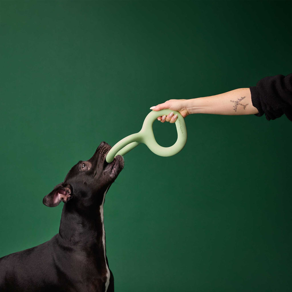 Earth Rated Rubber Tug Dog Toy