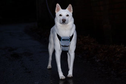 Car Crash Tested Dog Harness