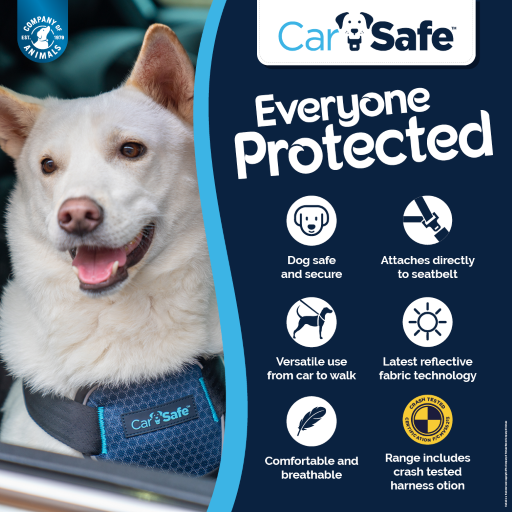 Car Crash Tested Dog Harness
