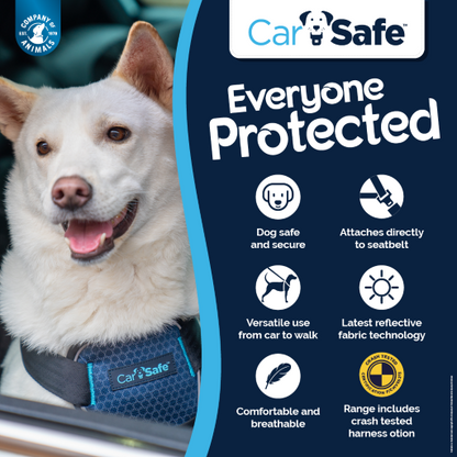 Car Crash Tested Dog Harness