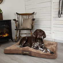 Scruffs Chester Mattress Dog Bed - Chocolate Brown