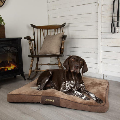 Scruffs Chester Mattress Dog Bed - Chocolate Brown
