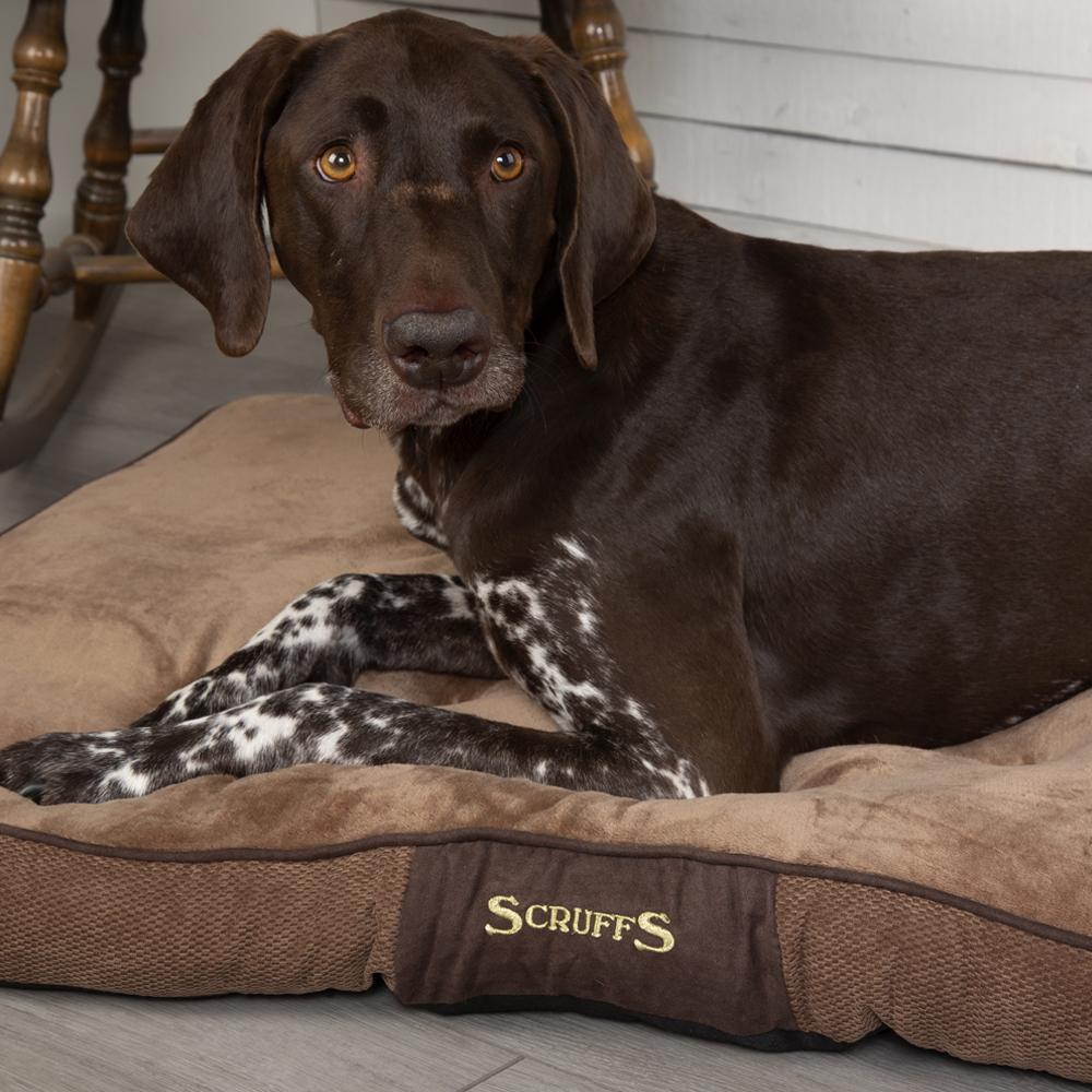 Scruffs Chester Mattress Dog Bed - Chocolate Brown