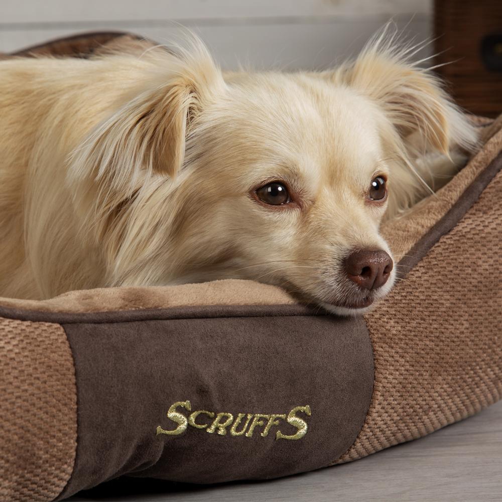 Scruffs Chester Box Dog Bed - Chocolate Brown