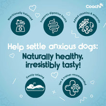 Coachi Natural Dog Calming Treats - Turkey - 100g