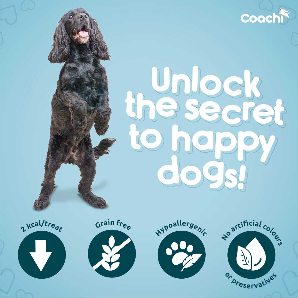 Coachi Natural Puppy Training Treats - Chicken - 100g