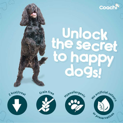 Coachi Natural Puppy Training Treats - Chicken - 100g