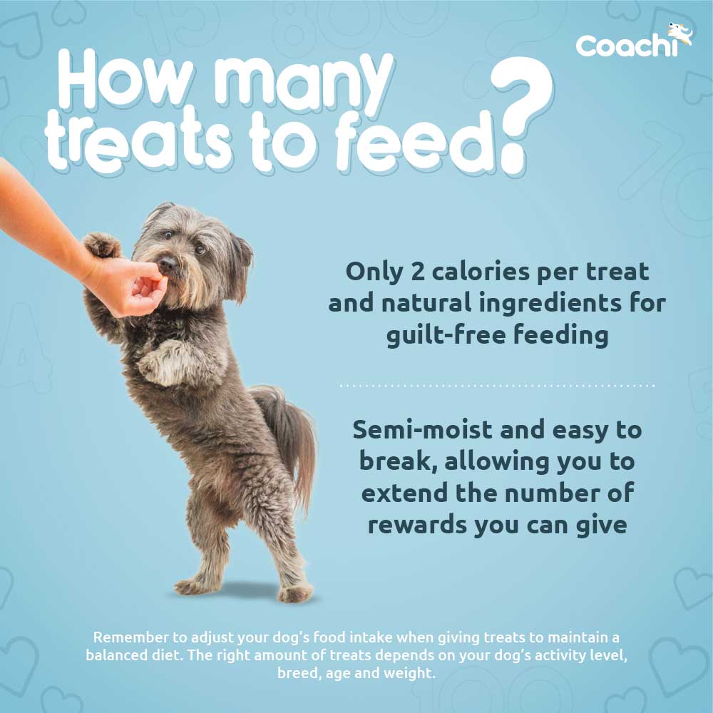 Coachi Natural Puppy Training Treats - Chicken - 100g
